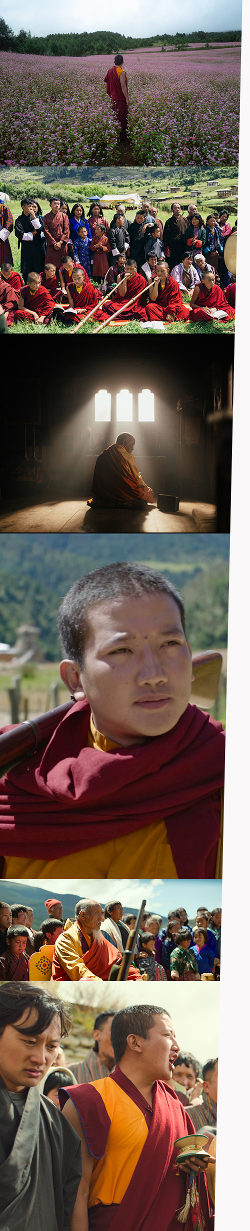 Was will der Lama mit dem Gewehr